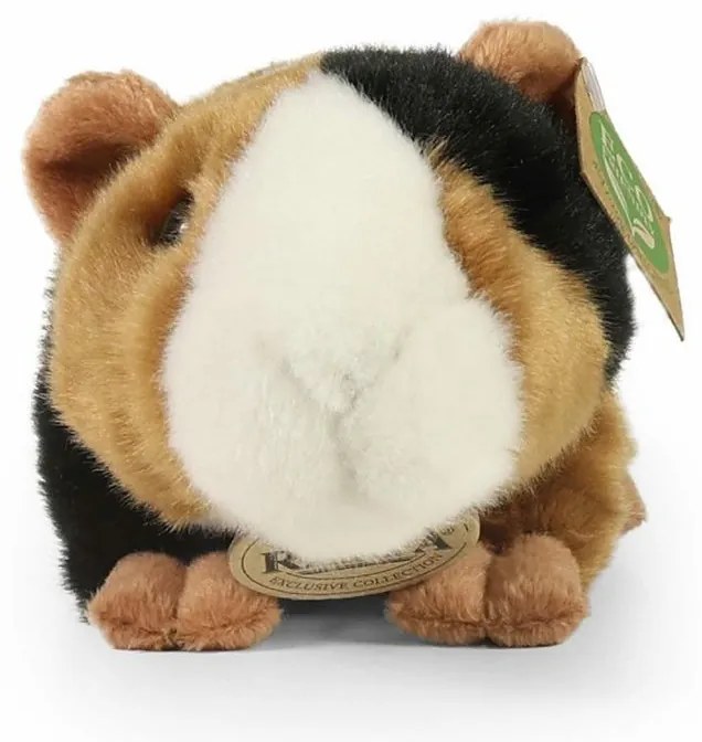 Rappa Plyšové morča 22 cm ECO-FRIENDLY