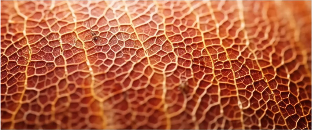 Obraz - Detail textúry (120x50 cm)