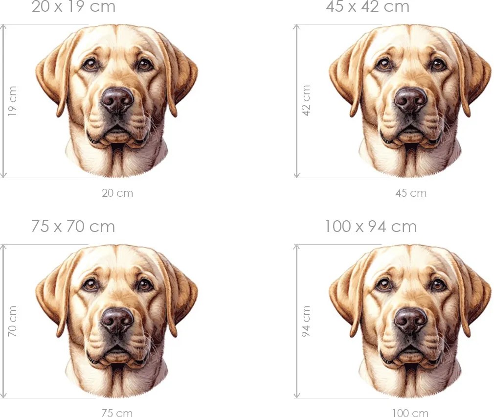 Pes Zlatý retriever textilná prelepiteľná nálepka na stenu hárok 45 x 42 cm