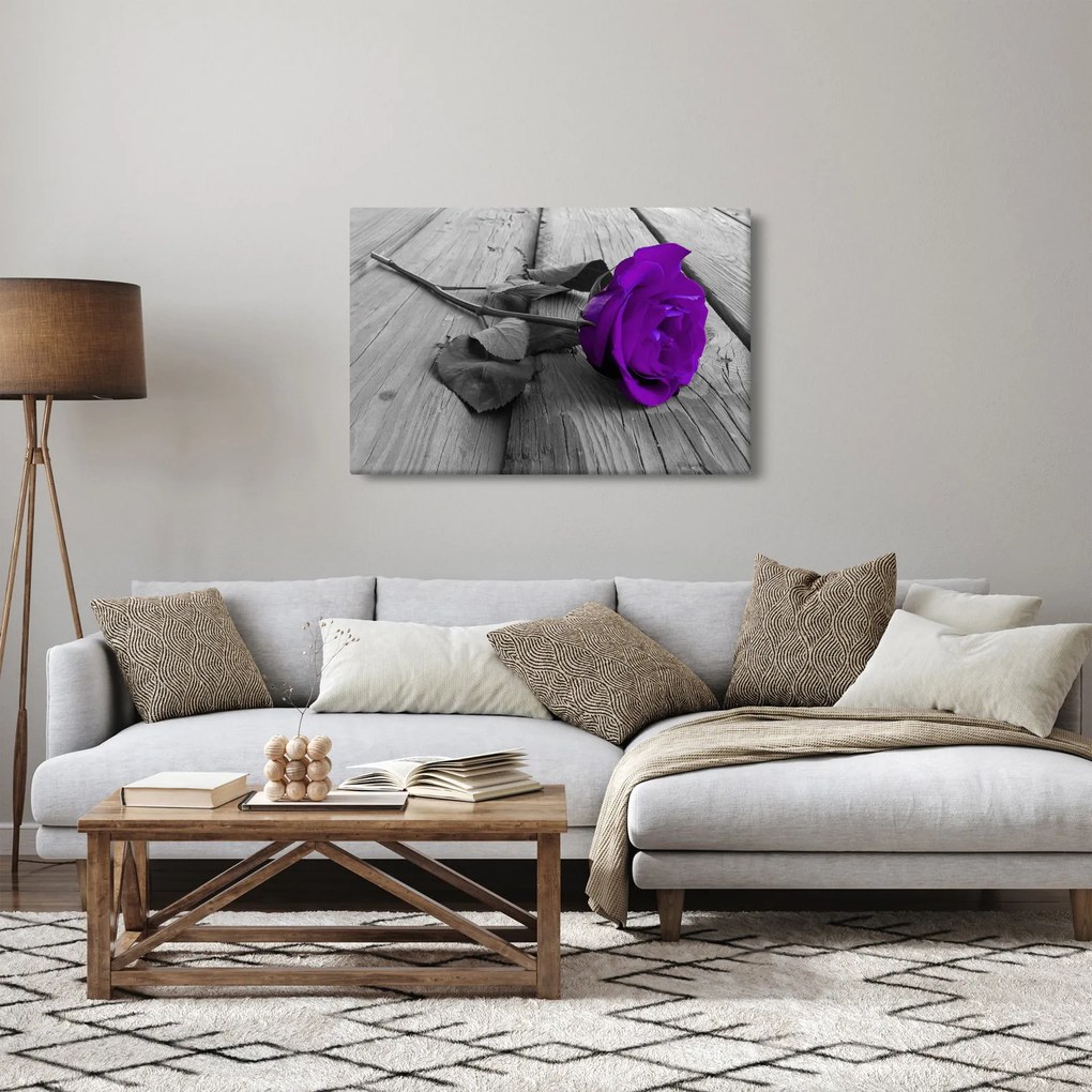 Obraz - Fialová ruža so zelenou stonkou (90x60 cm)