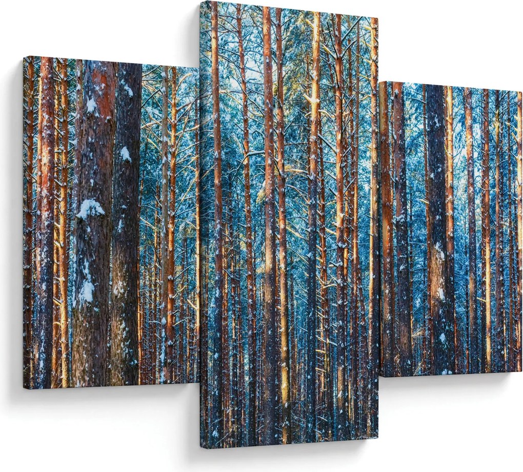 Obraz - Zimný les (90x60 cm)