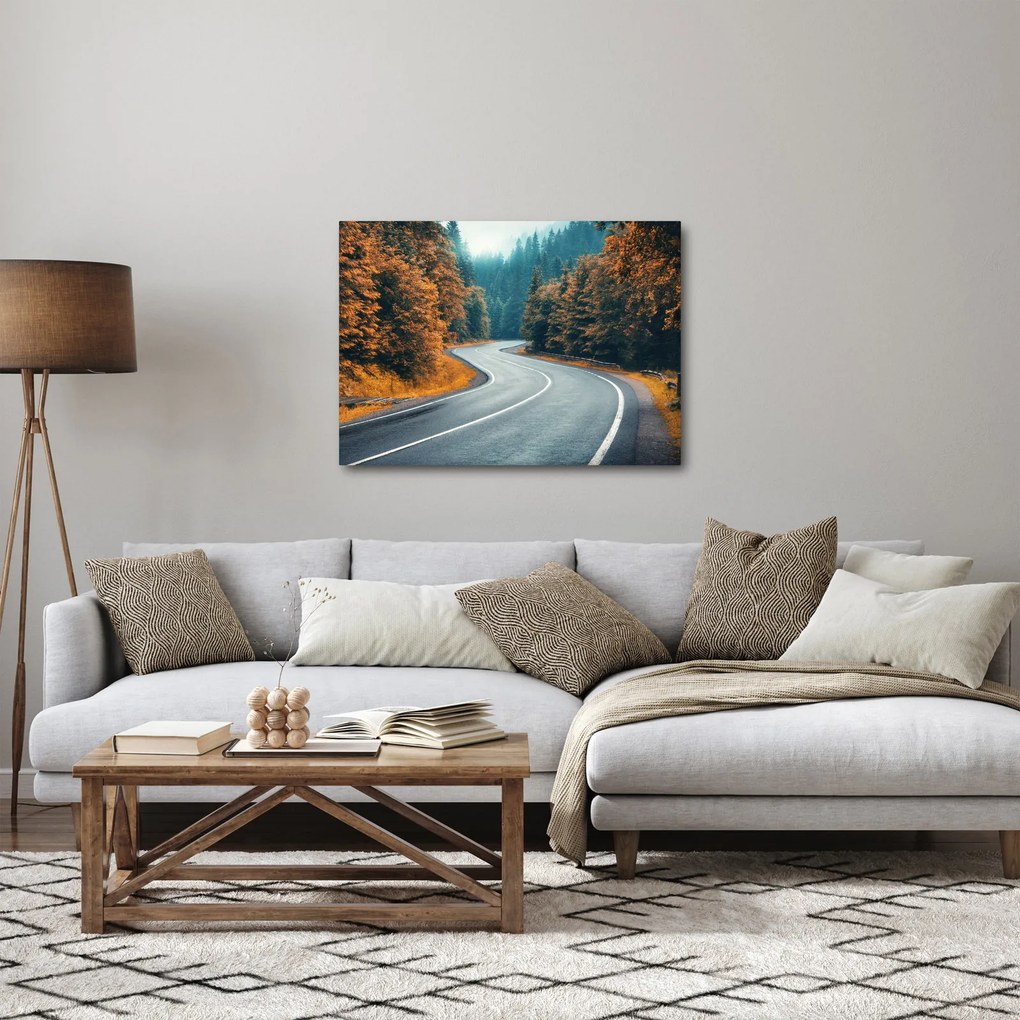 Obraz - Kľukatá cesta (70x50 cm)
