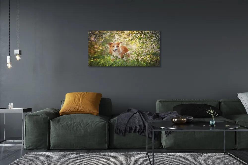 Obraz na plátne Psie lesné kvety 125x50 cm