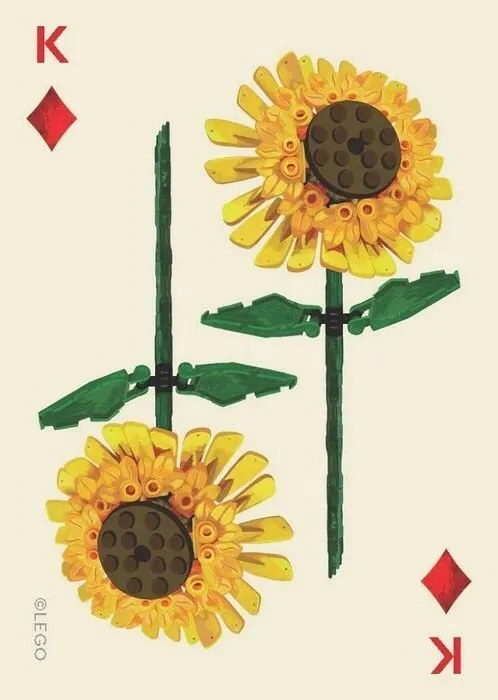 Chronicle Books LEGO® Set botanických hracích kariet