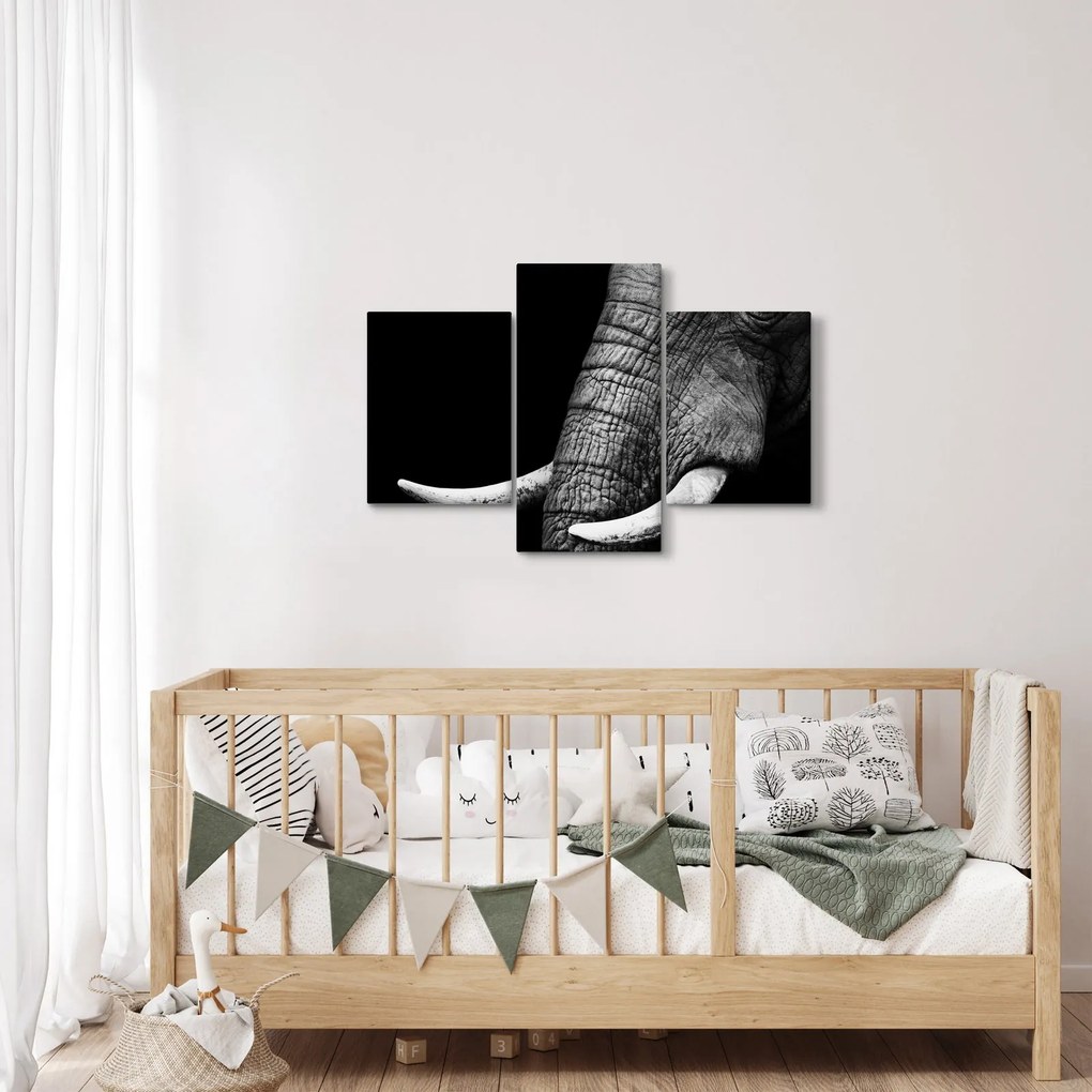 Obraz - Slonie kly (90x60 cm)