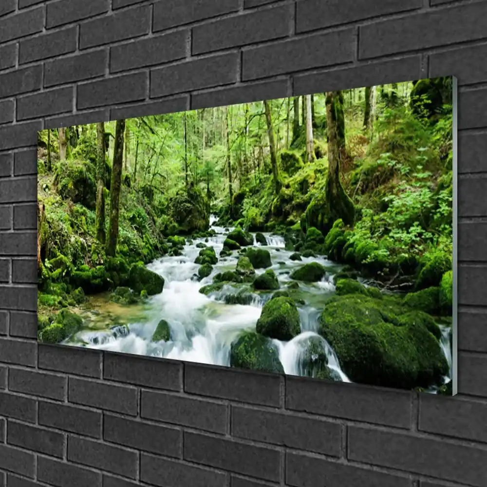 Skleneny obraz Les potok vodopády rieka 125x50 cm | BIANO