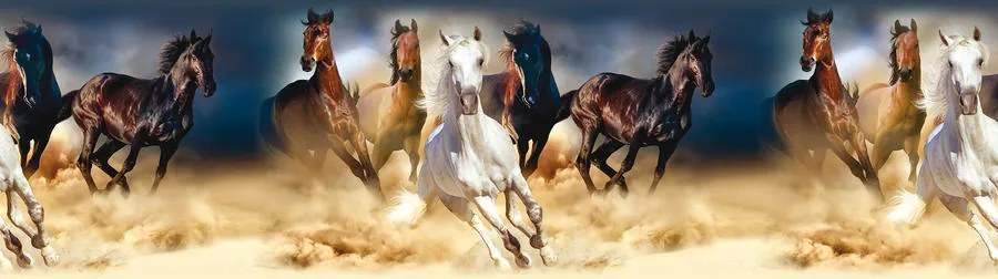 Horses - samolepiaca bordúra
