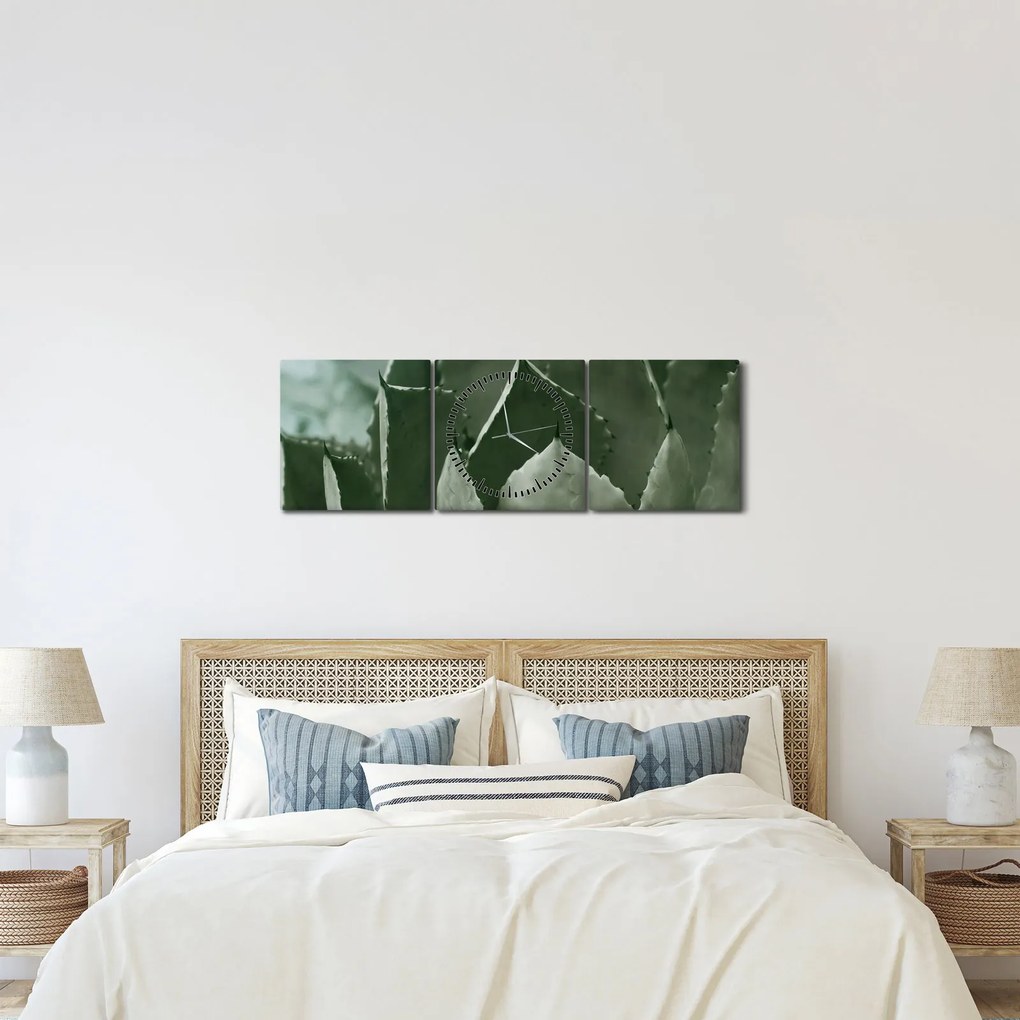 Obraz - Zelená agáve (s hodinami) (90x30 cm)