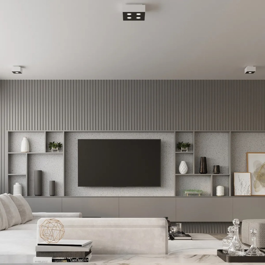 Stropné svietidlo Mono 2, 1x biele/čierne kovové tienidlo