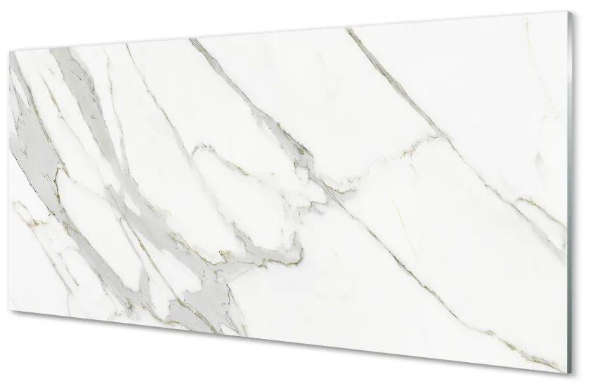 Obraz plexi Marble kameň škvrny 100x50 cm