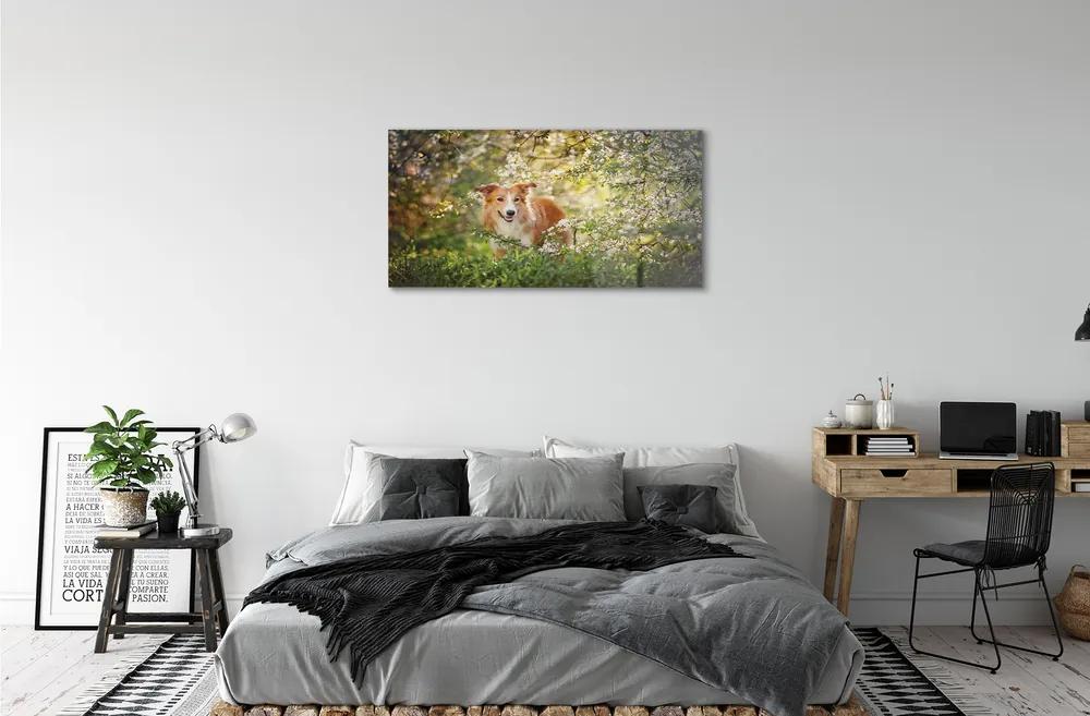 Sklenený obraz Psie lesné kvety 125x50 cm