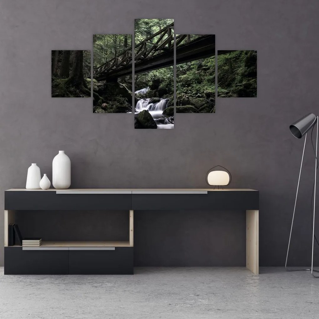 Obraz z čierneho lesa (125x70 cm), 40 ďalších rozmerov