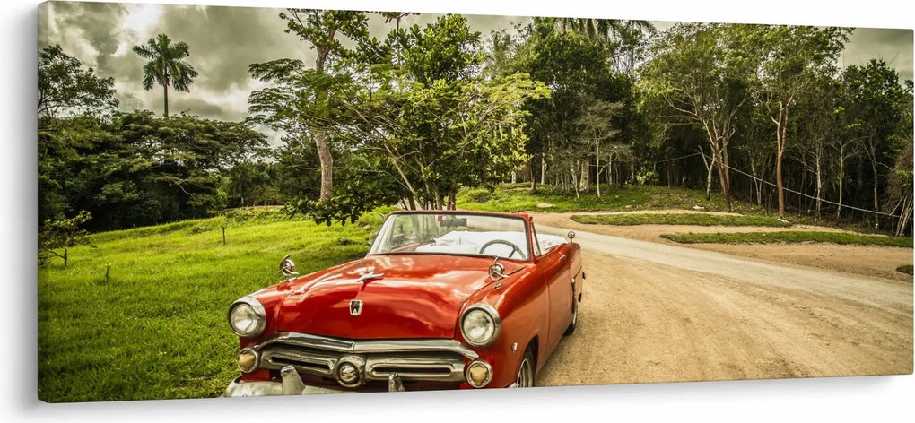 Obraz - auto veterán v prírode (120x50 cm)