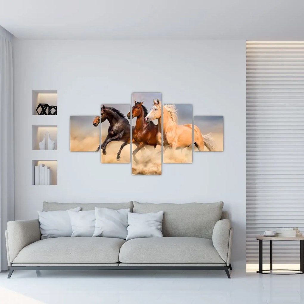 Obraz - Divé kone (125x70 cm), 40 ďalších rozmerov
