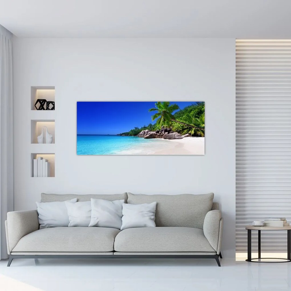 Obraz pláže na Praslin ostrove (120x50 cm)