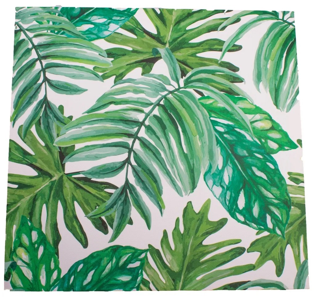 Obraz na plátne Green Leaves, 40 x 40 cm