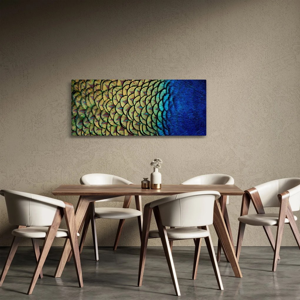 Obraz - Pávie perie (120x50 cm)