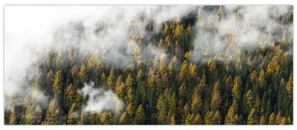 Obraz lesa v mrakoch (120x50 cm)