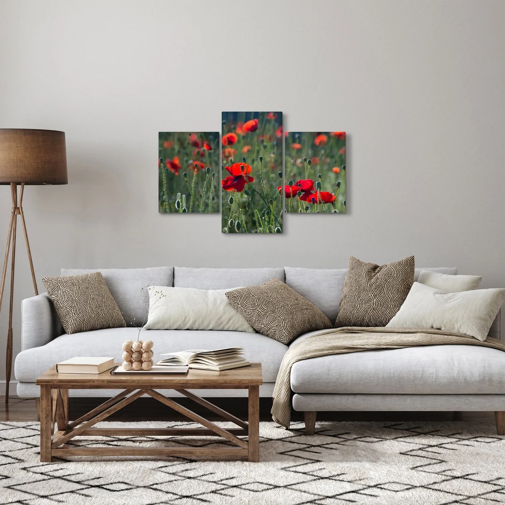 Obraz - Lúka s vlčími makmi (90x60 cm)