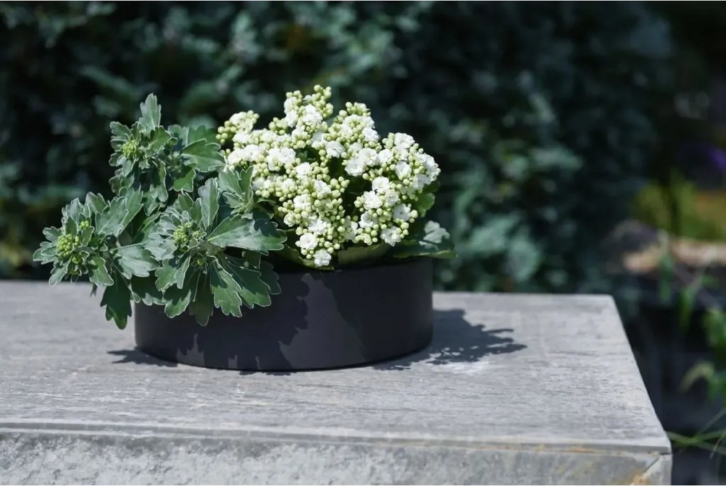 Miska na dekorácie CIRCULO, sklolaminát, Ø 30 cm, antracit