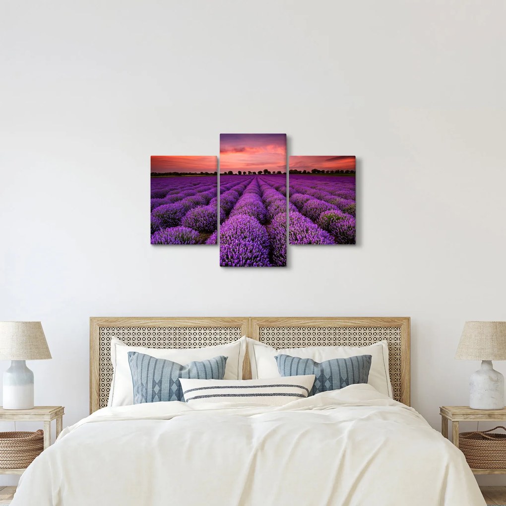 Obraz - Levanduľové pole (90x60 cm)