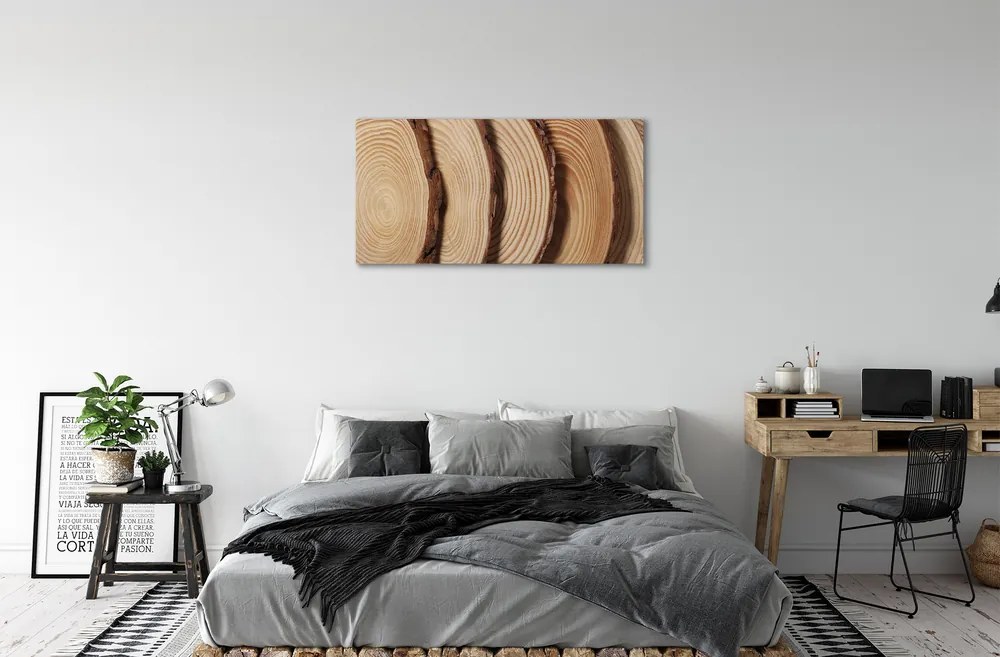 Obraz canvas plátky obilia dreva 125x50 cm