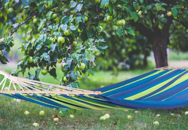 Závesná sieť pre dve osoby červená 400257A