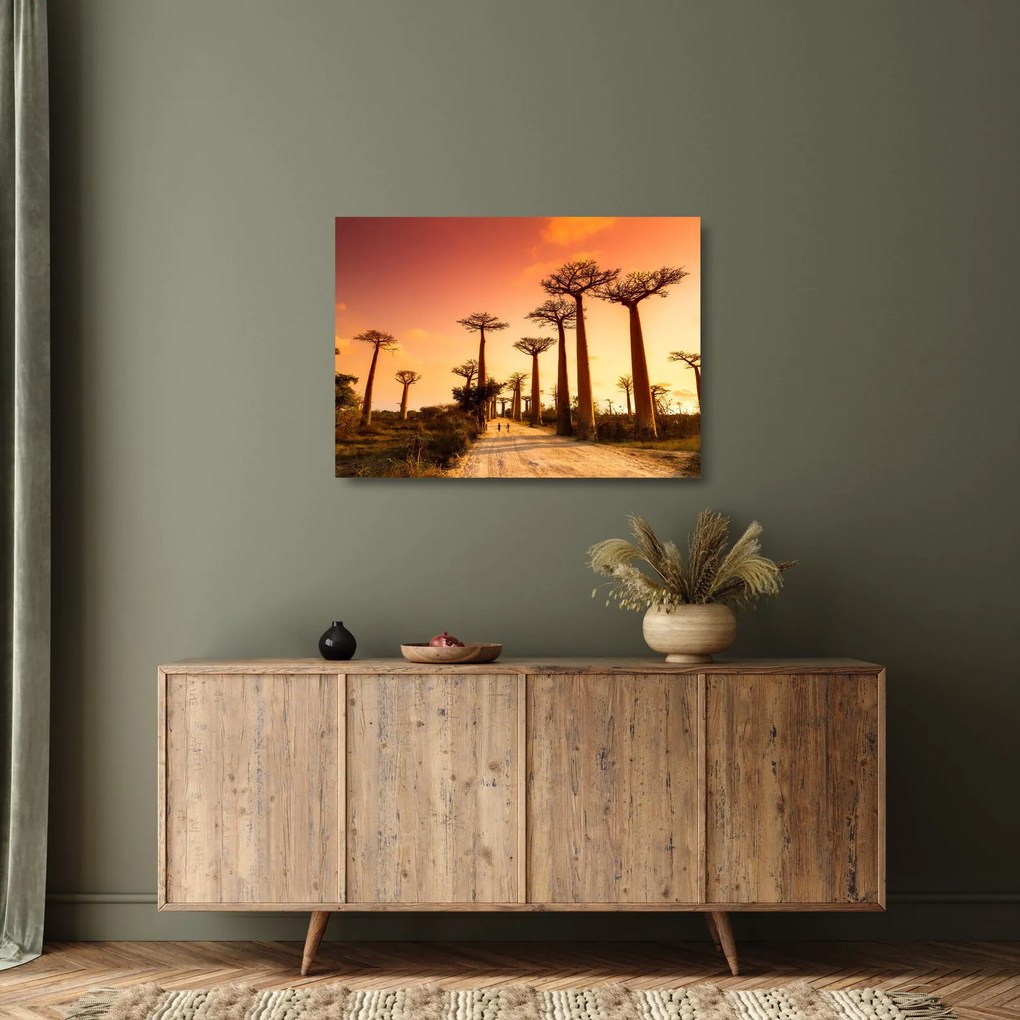 Sklenený obraz - Západ slnka v uličke Baobab (70x50 cm)