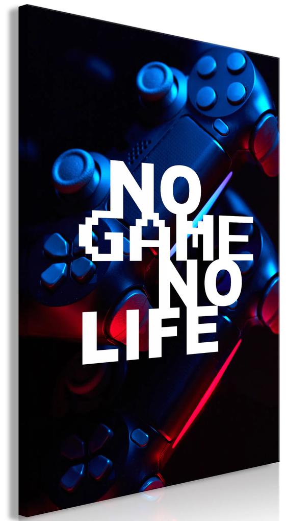 Artgeist Obraz - No Game No Life (1 Part) Vertical Veľkosť: 40x60, Verzia: Premium Print