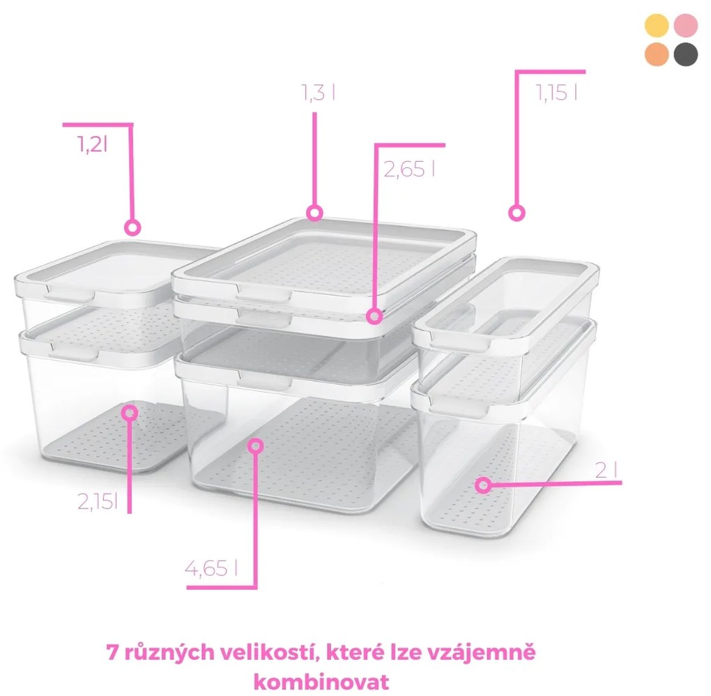 Rotho Organizér do chladničky s vekom a špeciálnou podložkou 1,2l CAUMA