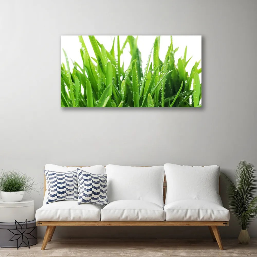 Obraz na plátne Tráva rastlina 120x60 cm