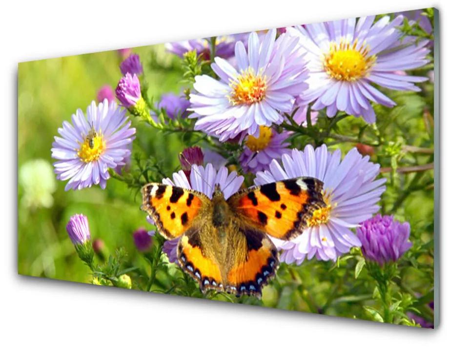 Obraz na akrylátovom skle Kvety motýľ príroda 140x70 cm