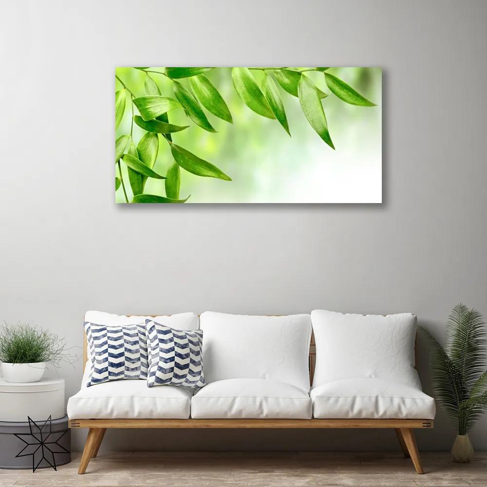 Obraz Canvas Zelené listy príroda 125x50 cm