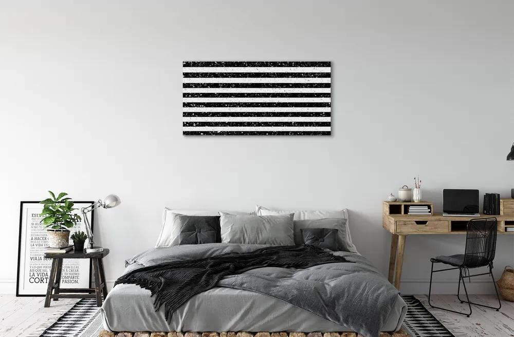 Obraz na plátne Škvrny zebra pruhy 125x50 cm