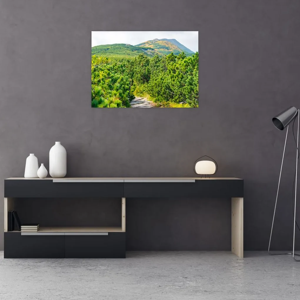 Sklenený obraz - Babi Hora, Poľsko (70x50 cm)