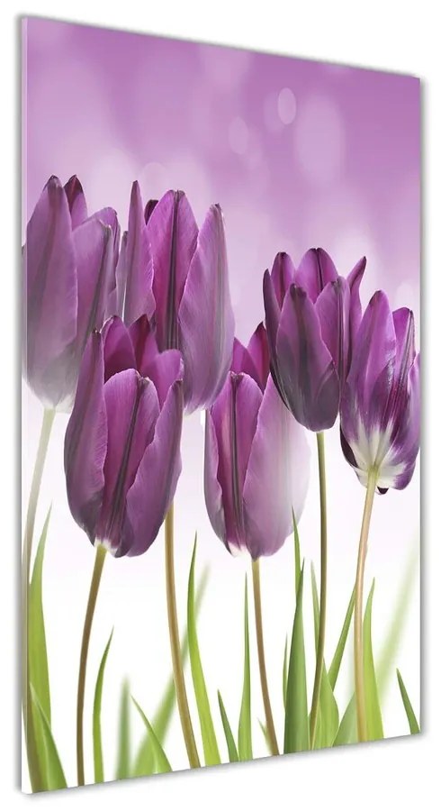 Foto obraz akrylový Fialové tulipány pl-oa-70x140-f-52340543