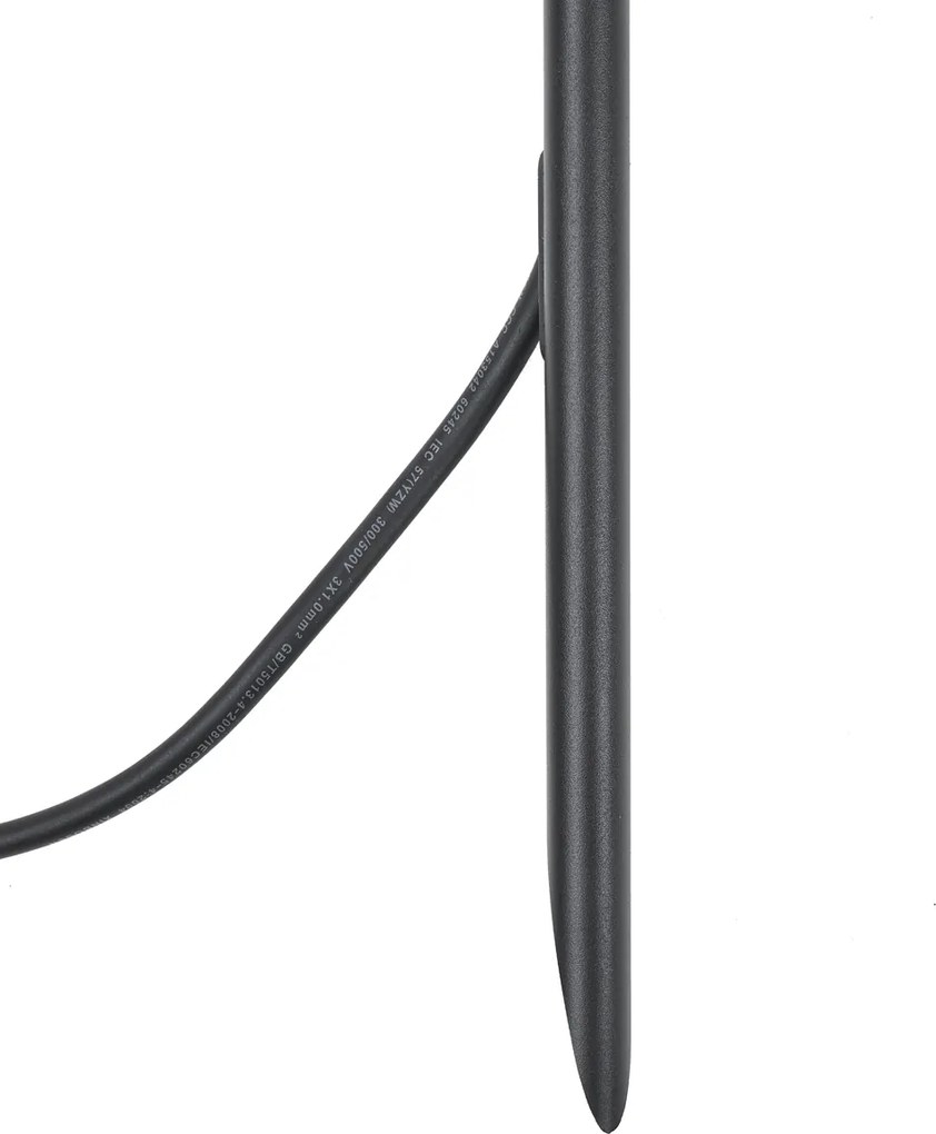 Bodové svietidlo so zemným hrotom čierne 40 cm vrátane LED nastaviteľné IP65 vrátane kábla a zástrčky - Carl
