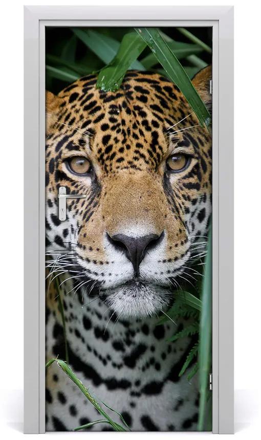 Fototapeta samolepiace na dvere Amazónie jaguár 75x205 cm