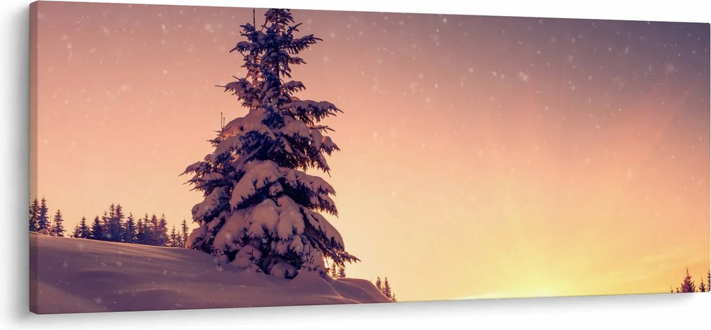 Obraz zasneženého stromu na lúke (120x50 cm)