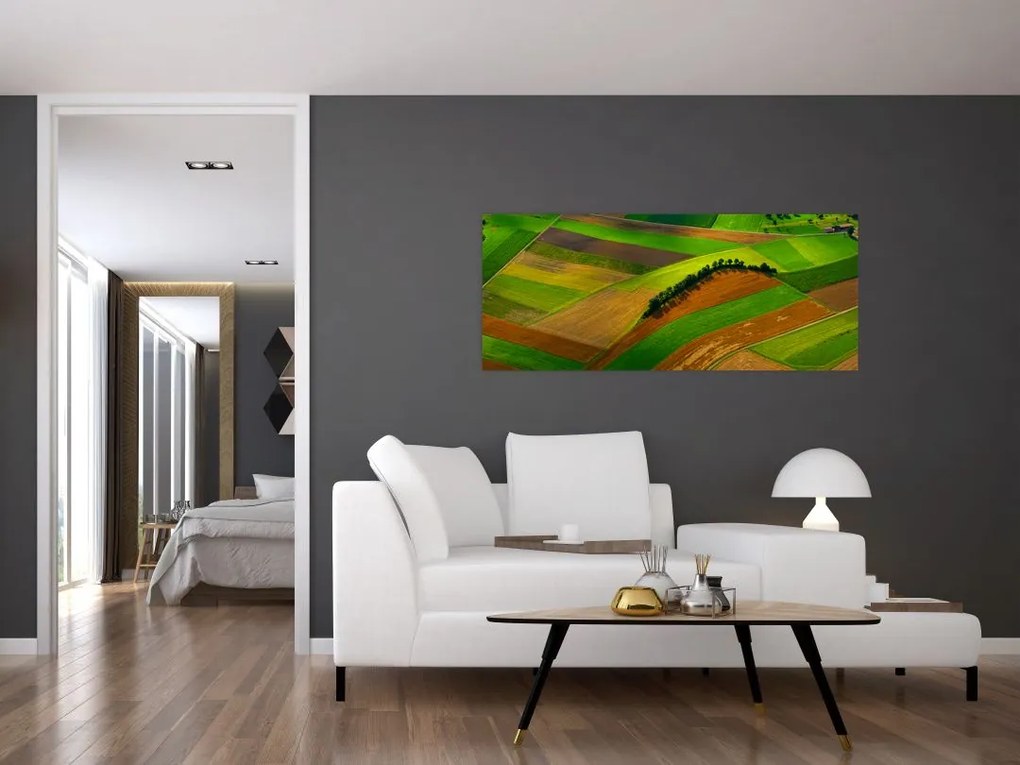 Obraz - Polia, lúky (120x50 cm)