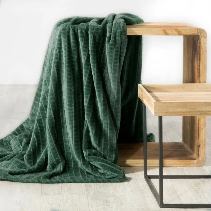 EUROFIRANY Nadýchaná a veľmi mäkká prikrývka z mikroflísu 170 cm x 210 cm tmavozelená 100 % polyester Varianta: 352563