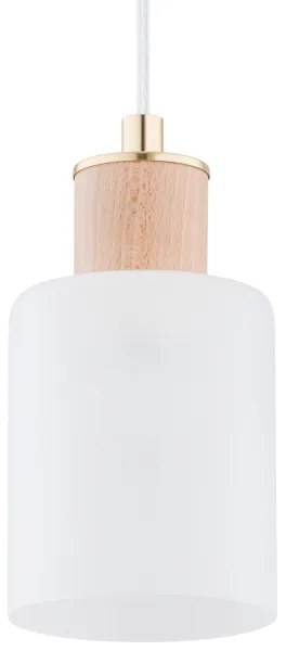 Luster na lanku EVIC 3xE27/60W/230V