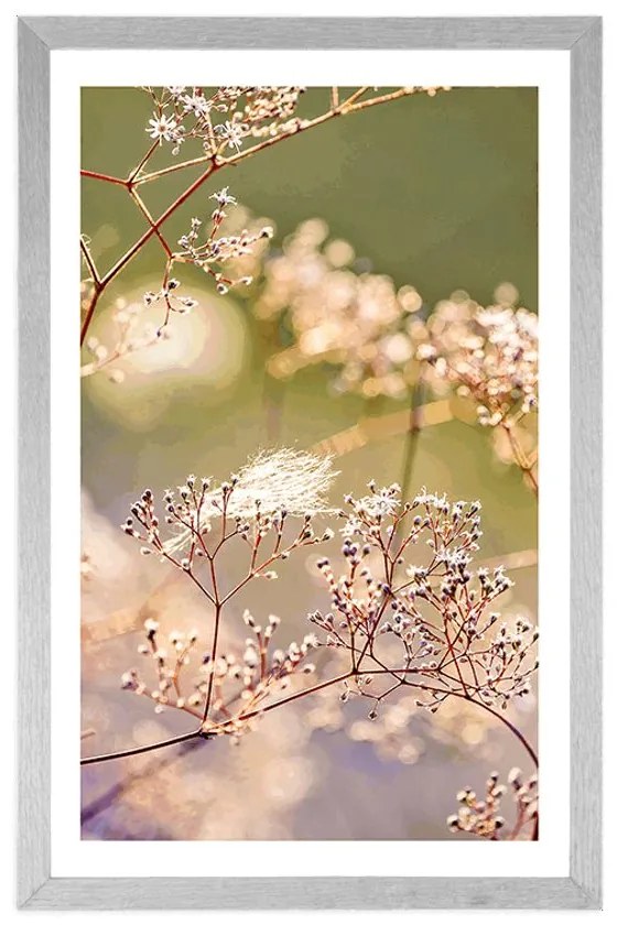 Plagát s paspartou zátišie z kvetov - 40x60 silver
