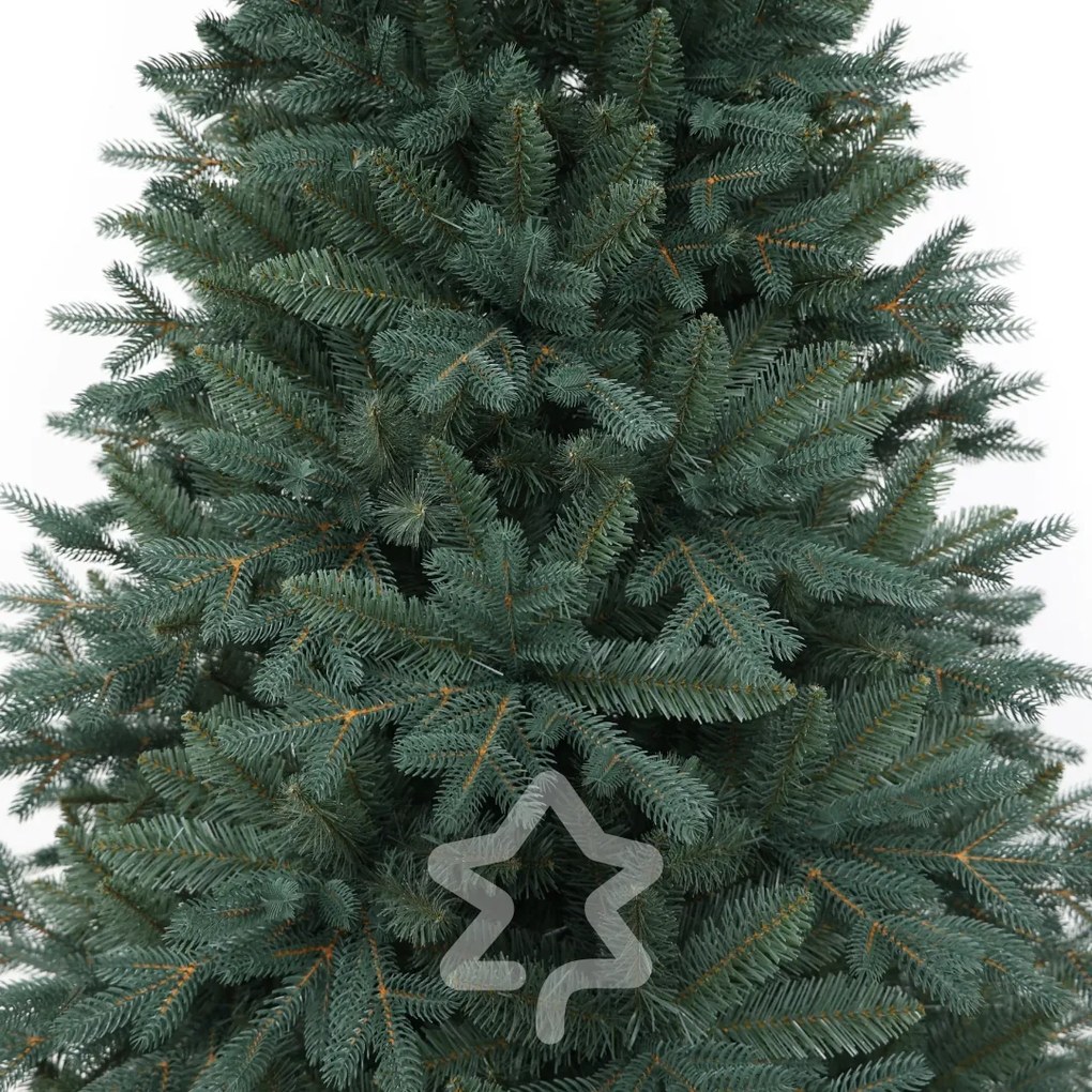 Smrek Strieborný 150 cm