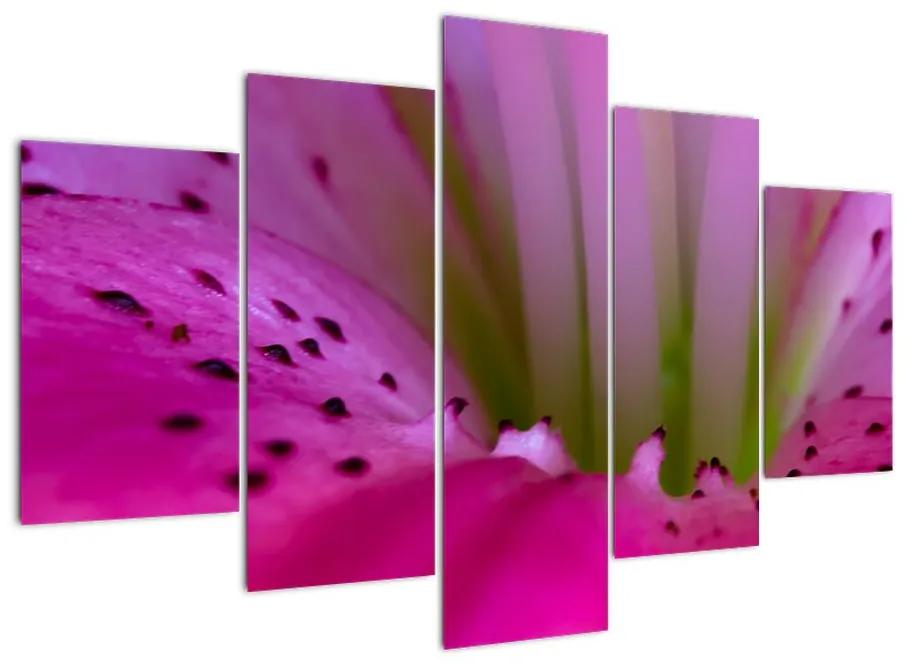 Detail kvetu - moderný obraz