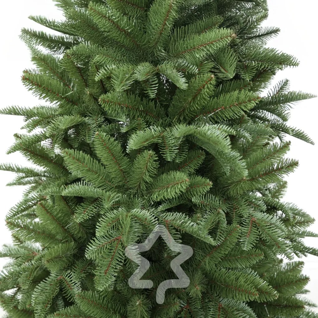 Jedľa Normandská extra hustá 240 cm