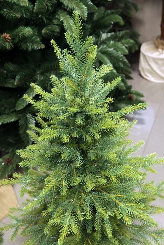 Smrek Kaukazský 100% 3D- 100cm