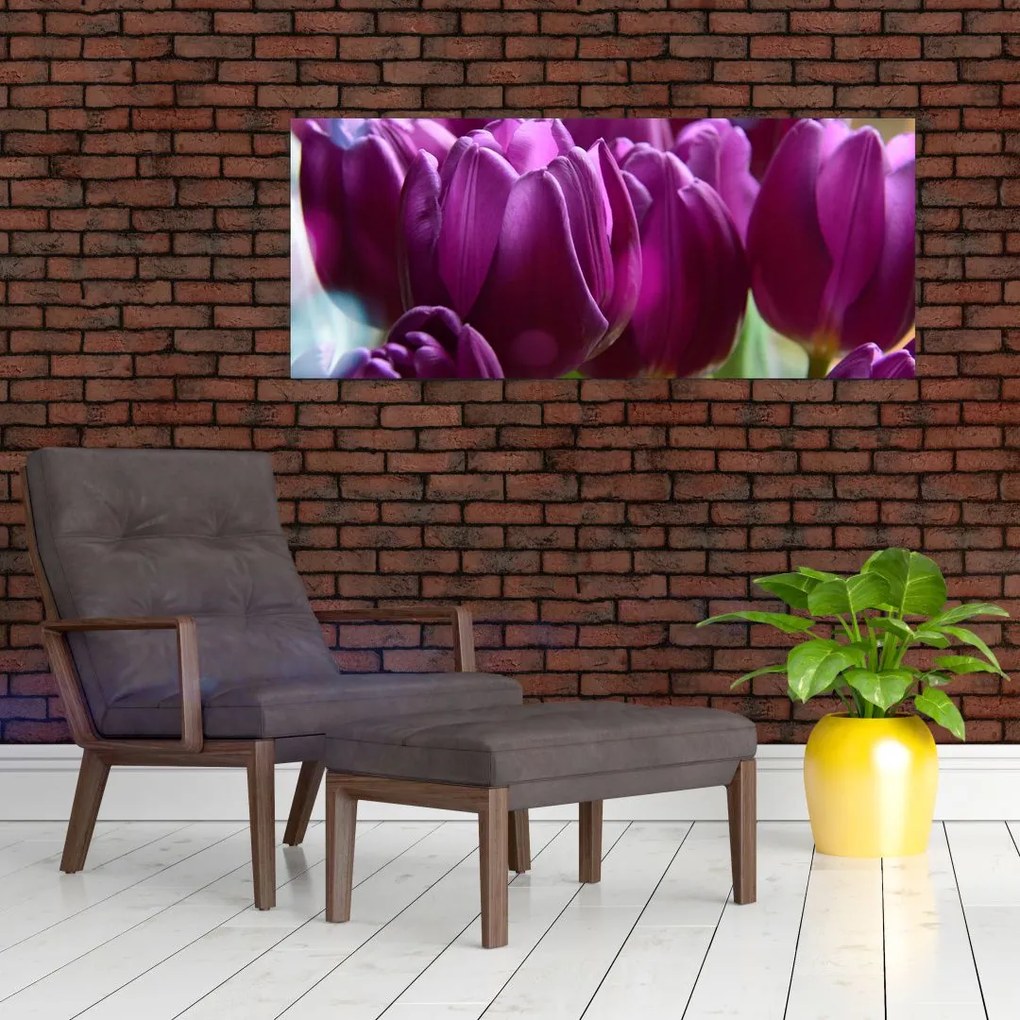 Obraz tulipánov (120x50 cm)