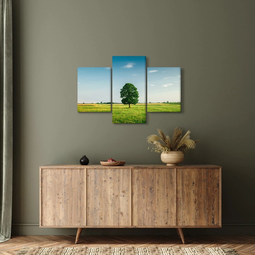 Obraz stromu uprostred lúky (90x60 cm)