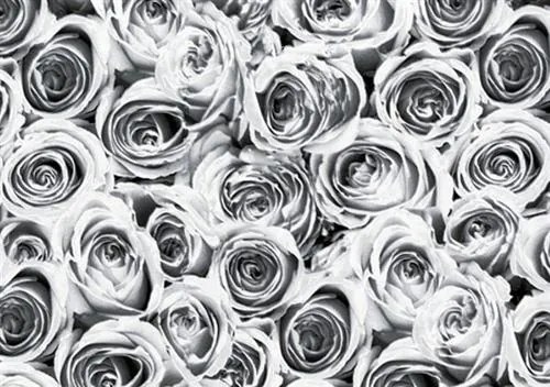 Samolepiace fólie ruže sivé, metráž, šírka 45cm, návin 15m, GEKKOFIX 12856, samolepiace tapety